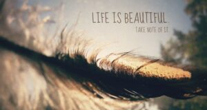 Best Beauty sayings And Quotes