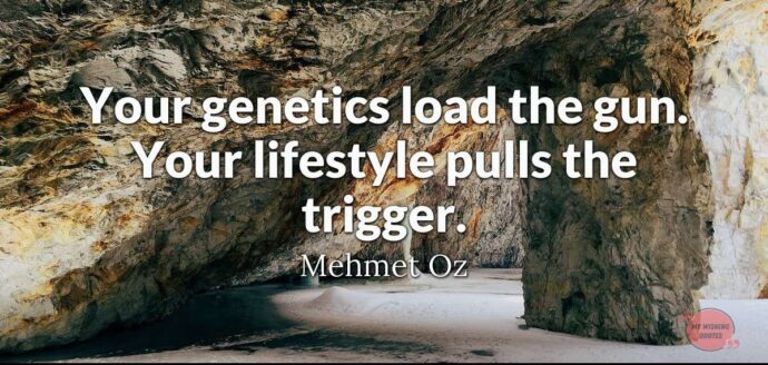 Lifestyle Quotes And Life style Sayings, Quotes About Beautiful Life - TheSite.org