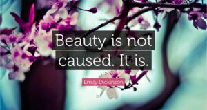 Best Beauty Quotes