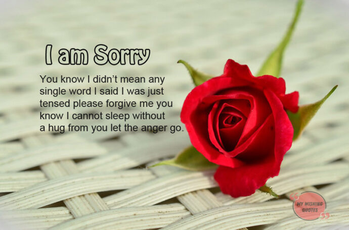 Sincere Sorry Messages For Wife - Romantic Sorry Messages For Her