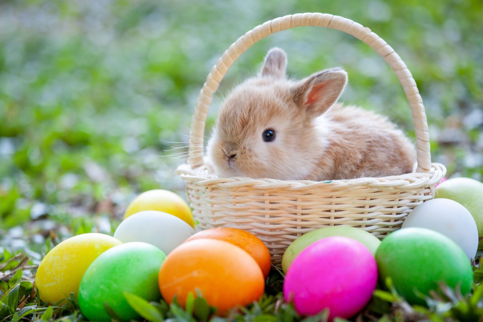 What Is Easter Monday Easter Greetings Sayings