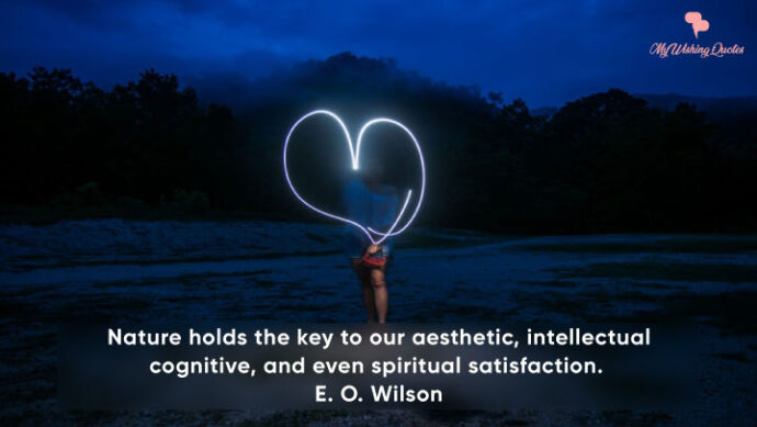 The Best Aesthetic Quotes to Help you in Completing the Task of