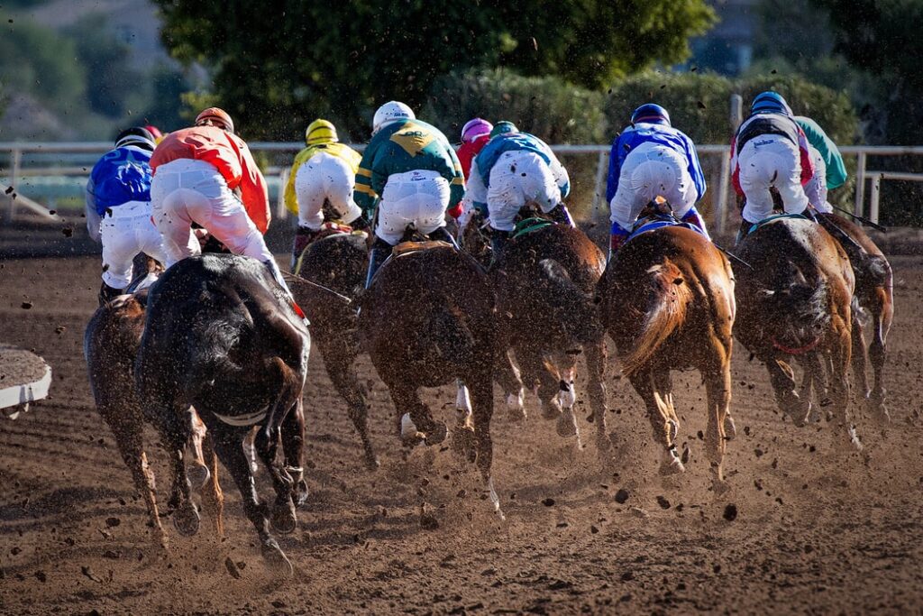 Horse Racing Terms Every Beginner Bettor Needs to Know