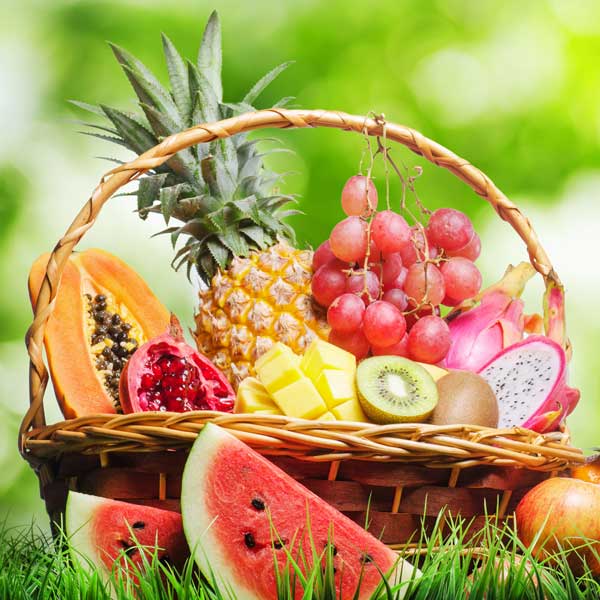 Exploring Global Fruit Logistics 2024 Guide