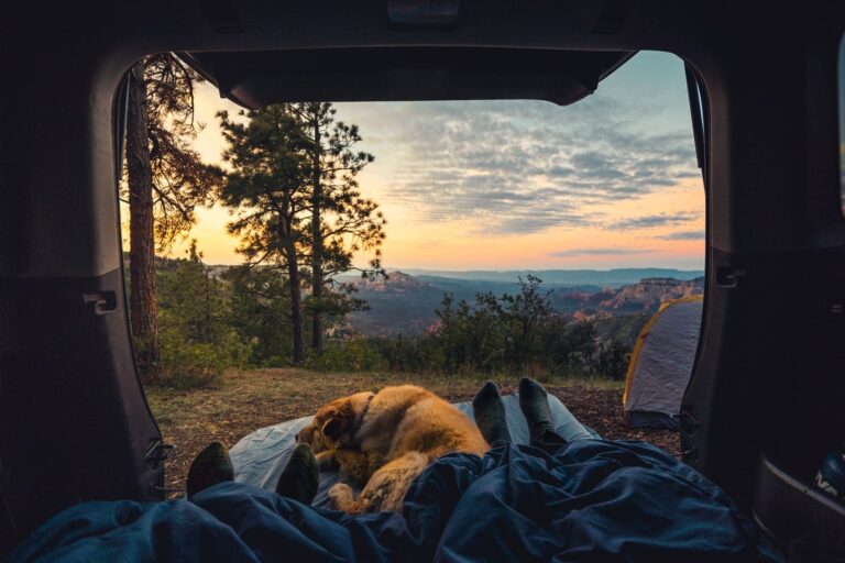 How to go Camping and Enjoy it?