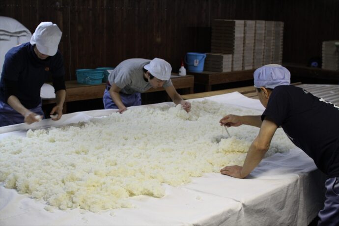 Unlocking The Secrets Of Sake: The Path To Professional Certification TheSite org Unlocking The Secrets Of Sake: The Path To Professional Certification TheSite org
