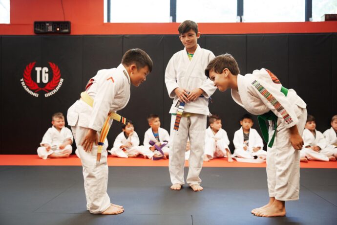 karate Instilling Values and Respect