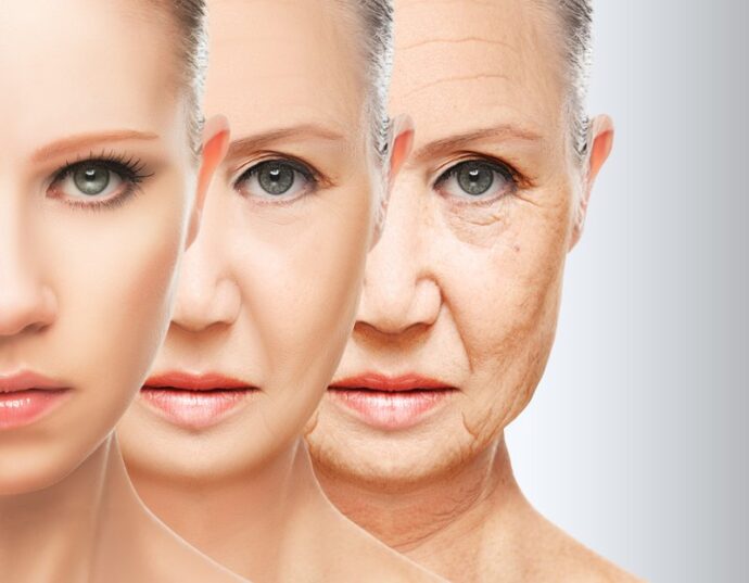 Understanding Aging Process