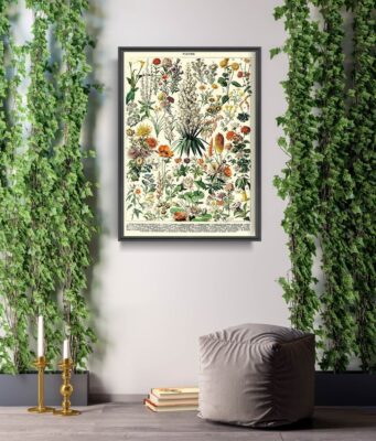 Botanical Motif Posters: Interesting Ideas for Arrangement